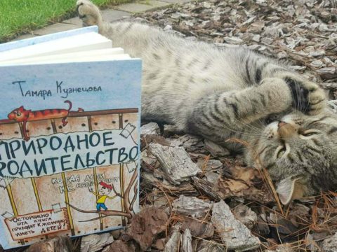 *** Книга-Тамары-Кузнецовой-Природное-родительство ***
