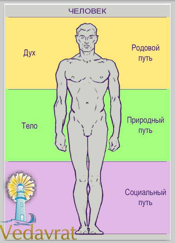 ««« 12 видов Предназначений - 12 типов человека »»»