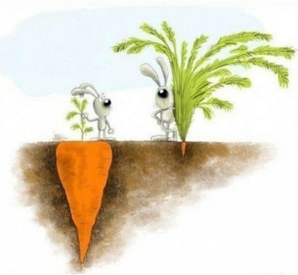 ««« Джйотиш-астропрогноз август-сентябрь 2021 года ~ Сурья в Симха-Раши ~ Солнце в знаке Лев »»»