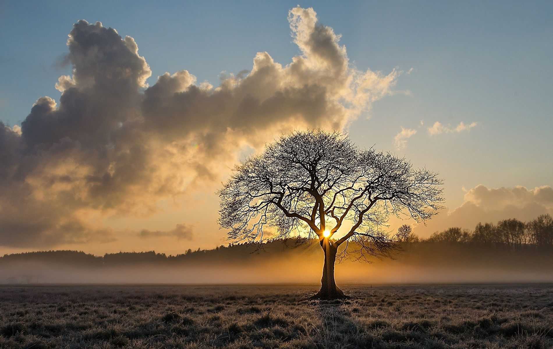 *** Семинары обучающие курсы и консультации — Тантра-Джйотиш ЛайвДевайс Ведическая астрология — Антін Кузнецов ***