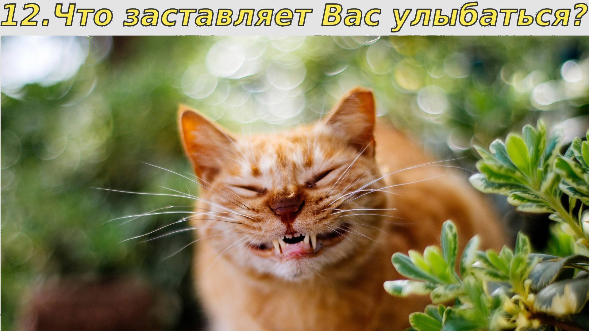 *** Предназначение как 12 вопросов — Dharma-destiny-fate-predestination-calling ***