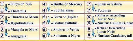 *** Джйотиш-Грахи и их соответствие физиологии головы - таблица jyotish-and-cosmic *** 