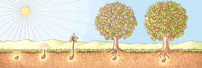 *** Карта рождения человека — Закон Кармы и Просветлённый человек ***