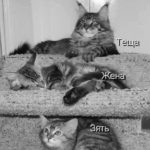 *** иерархия - основа взаимоотношений, построения семьи и отношений  *** 