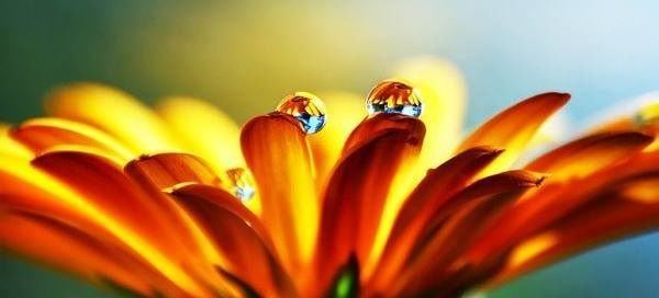 *** Антон Кузнецов: Медитационная Практика Созерцание Души-и-Духа ***